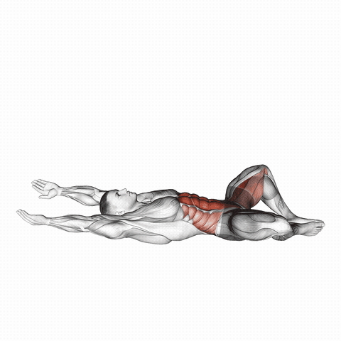 Abdominal borboleta